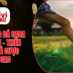 Sảnh Bóng Đá Saba