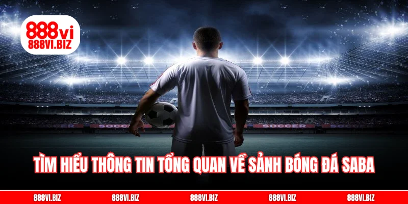 Tìm hiểu thông tin tổng quan về sảnh bóng đá Saba